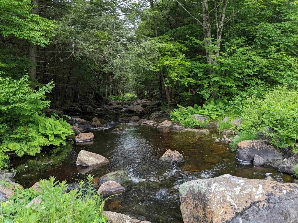 0 Purcell And Fullam Pond Road Winchester NH 03470