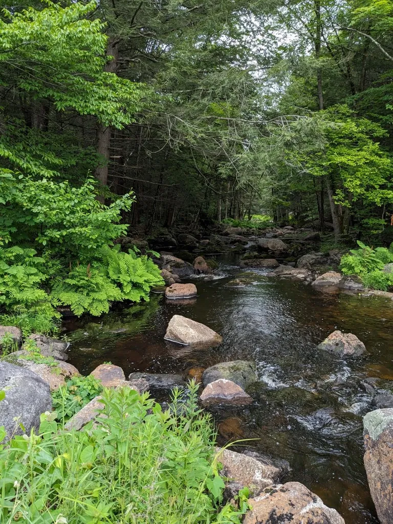 0 Purcell And Fullam Pond Road Winchester NH 03470