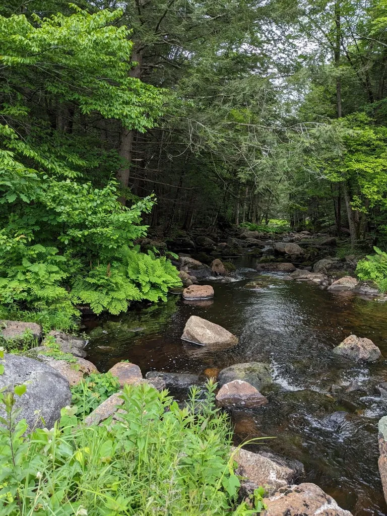 0 Purcell And Fullam Pond Road Winchester NH 03470