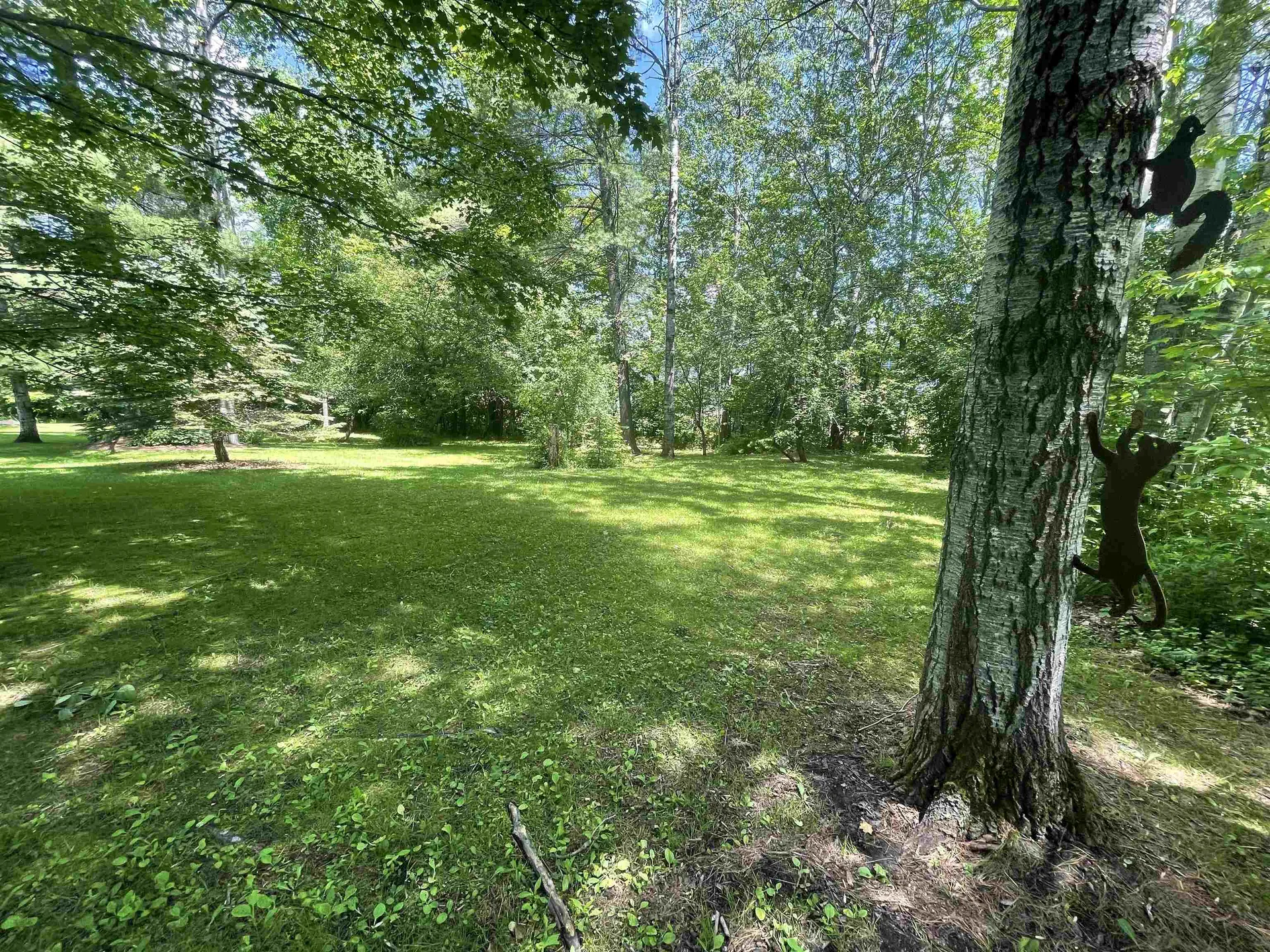 19 Baptist Street Barre Town VT 05654