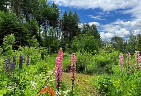 1296 North Kirby Road Kirby VT 05851