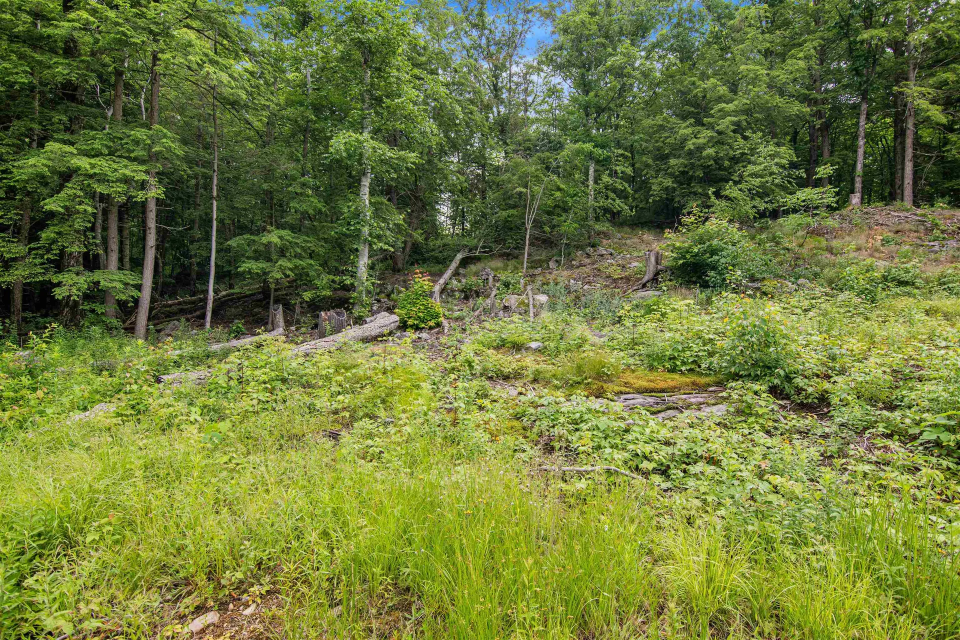 Beech Ridge Monkton VT 05469