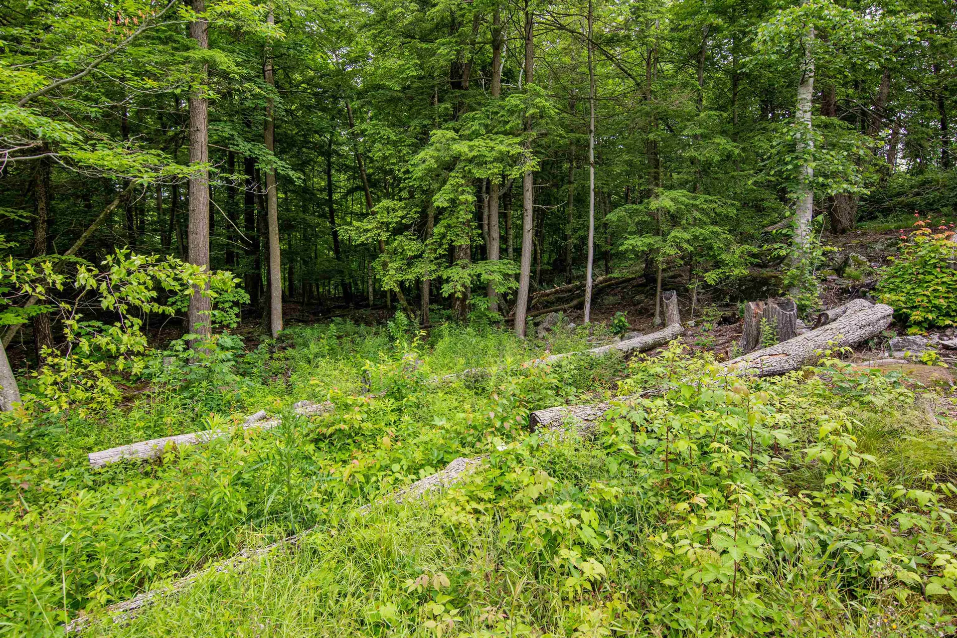 Beech Ridge Monkton VT 05469