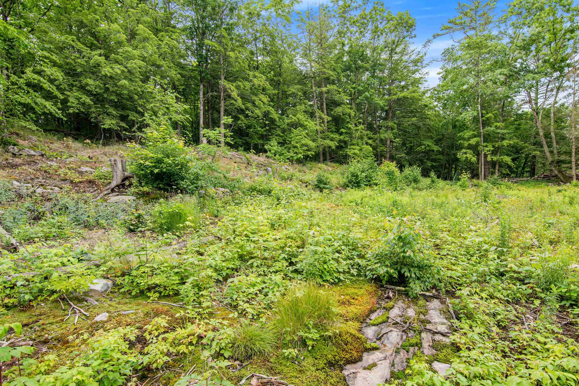 Beech Ridge Monkton VT 05469