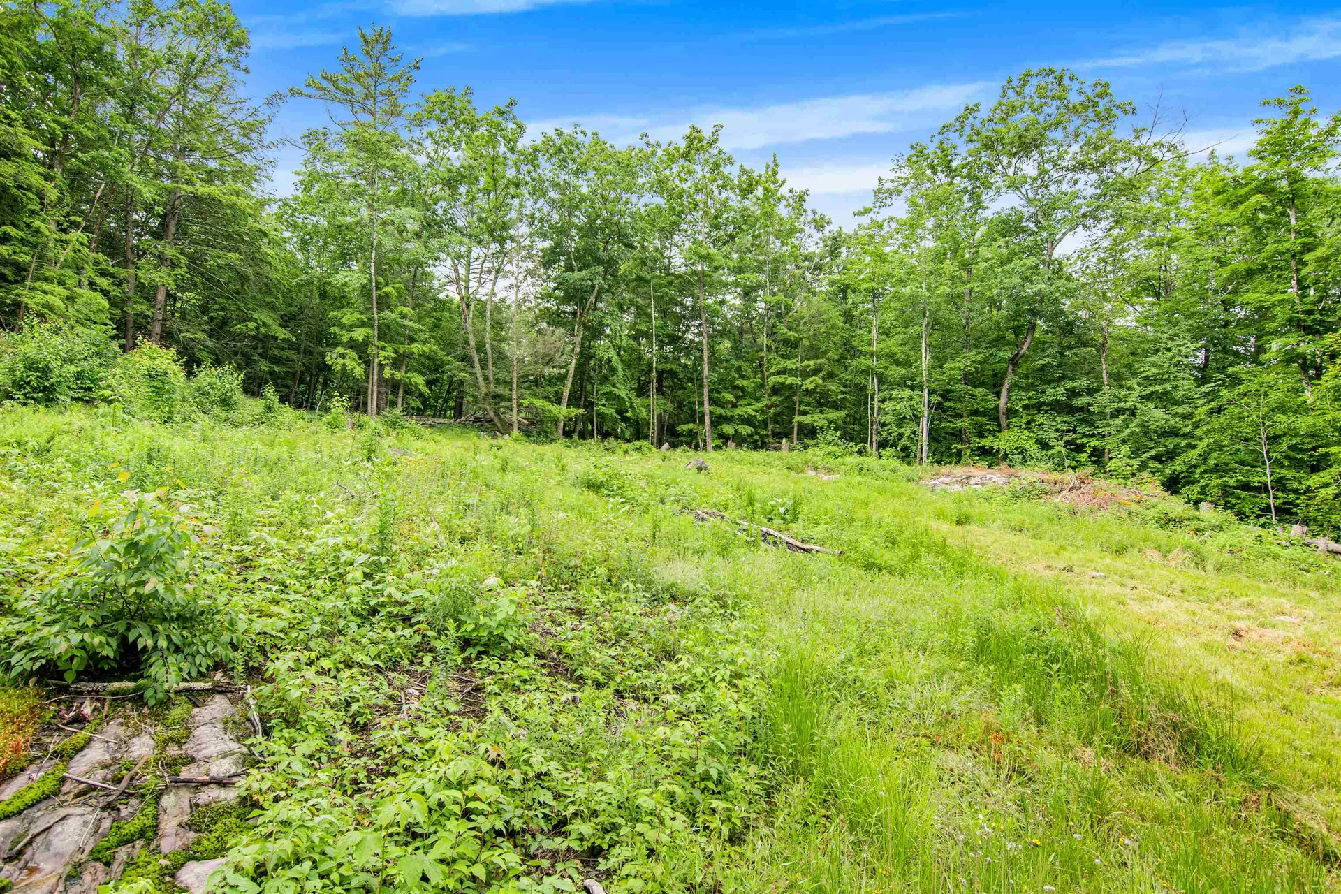 Beech Ridge Monkton VT 05469