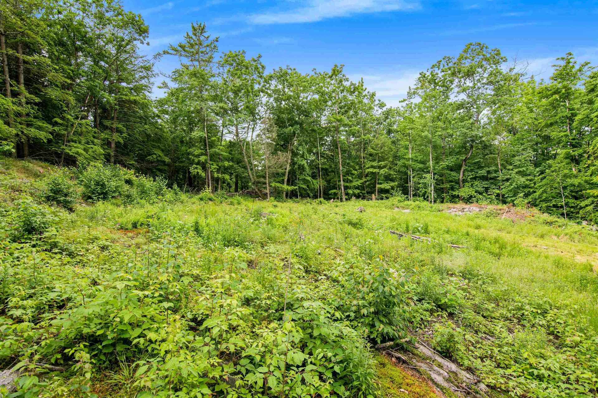 Beech Ridge Monkton VT 05469
