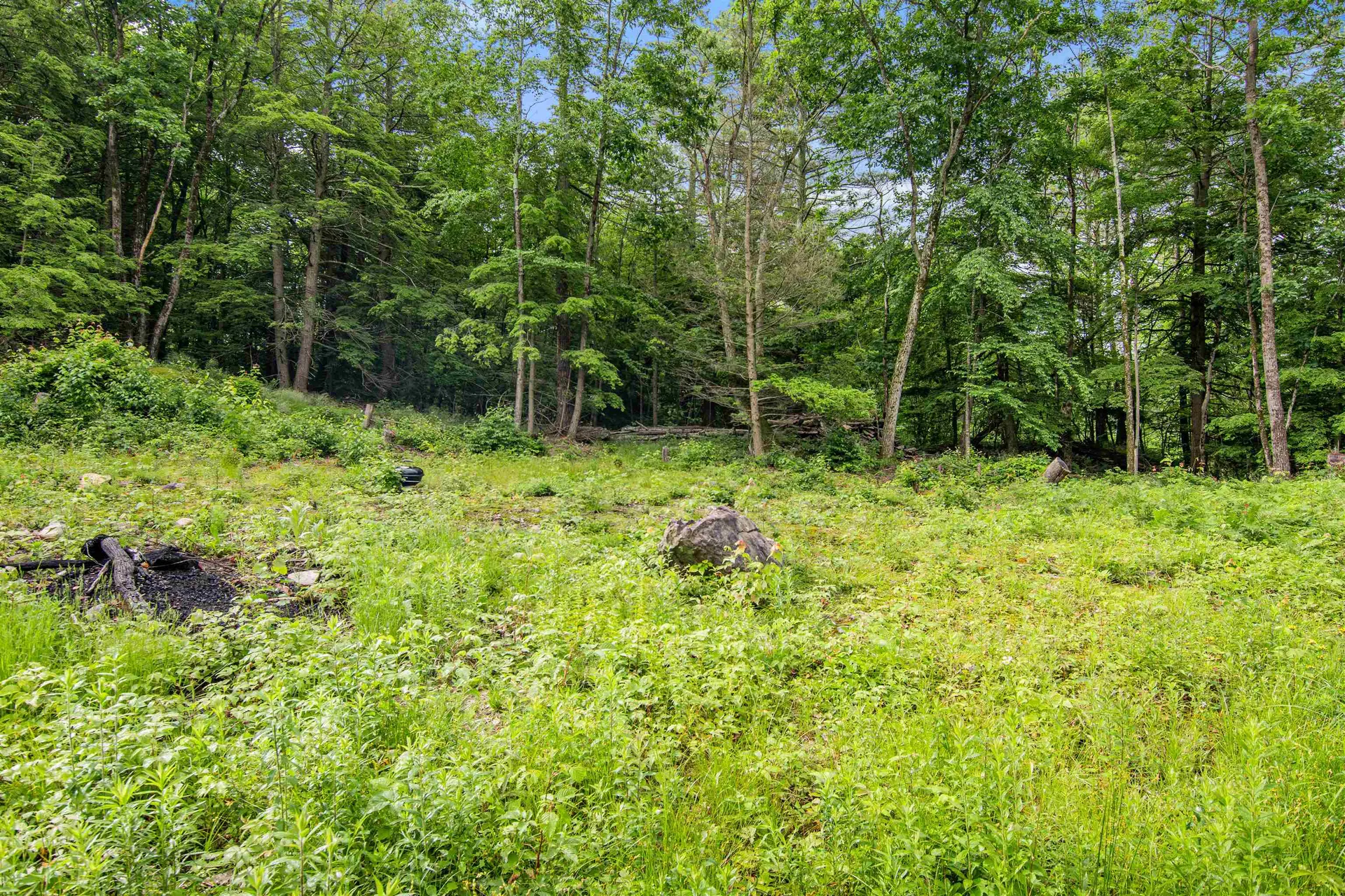 Beech Ridge Monkton VT 05469