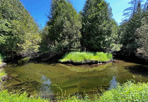 2000 Goss Hollow Road St. Johnsbury VT 05819