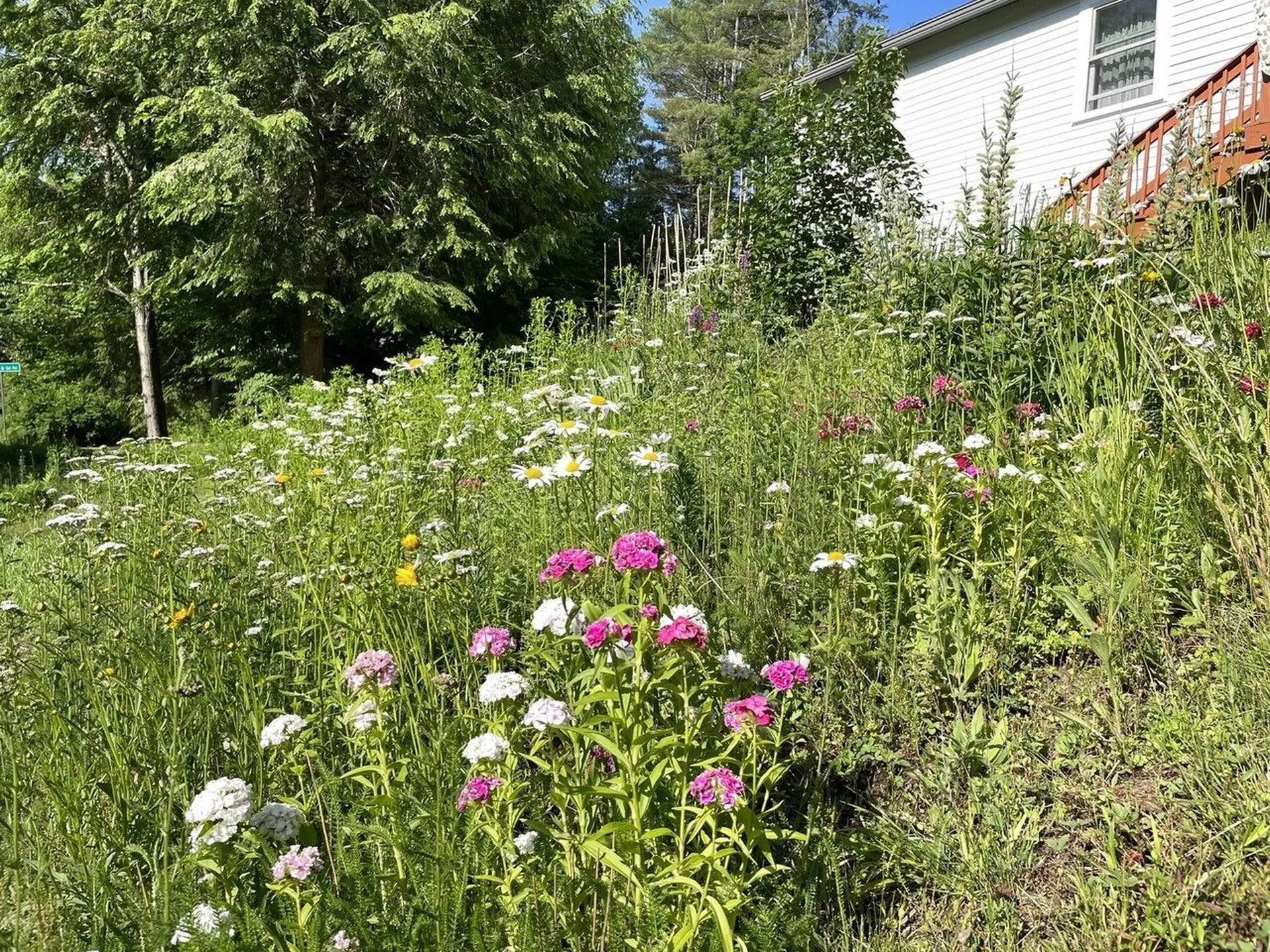 16 Lavallee Drive Extension Huntington VT 05462