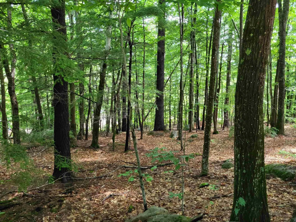 15 Appenvel Way Madison NH 03849-5638