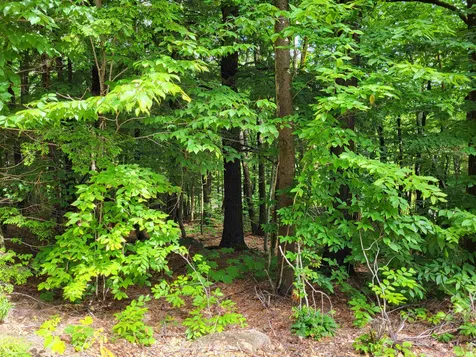 15 Appenvel Way Madison NH 03849-5638