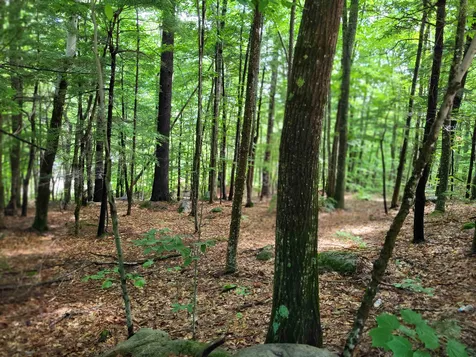 15 Appenvel Way Madison NH 03849-5638
