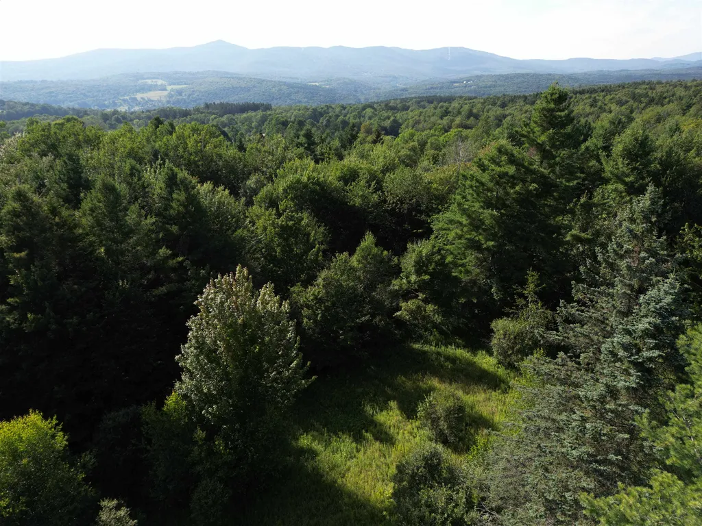 397 Stowe Hill Road Wilmington VT 05363