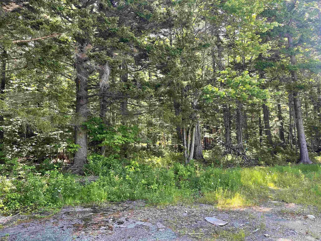 397 Stowe Hill Road Wilmington VT 05363