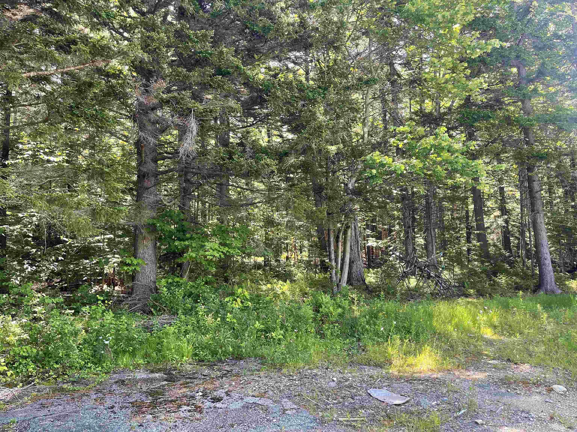 397 Stowe Hill Road Wilmington VT 05363