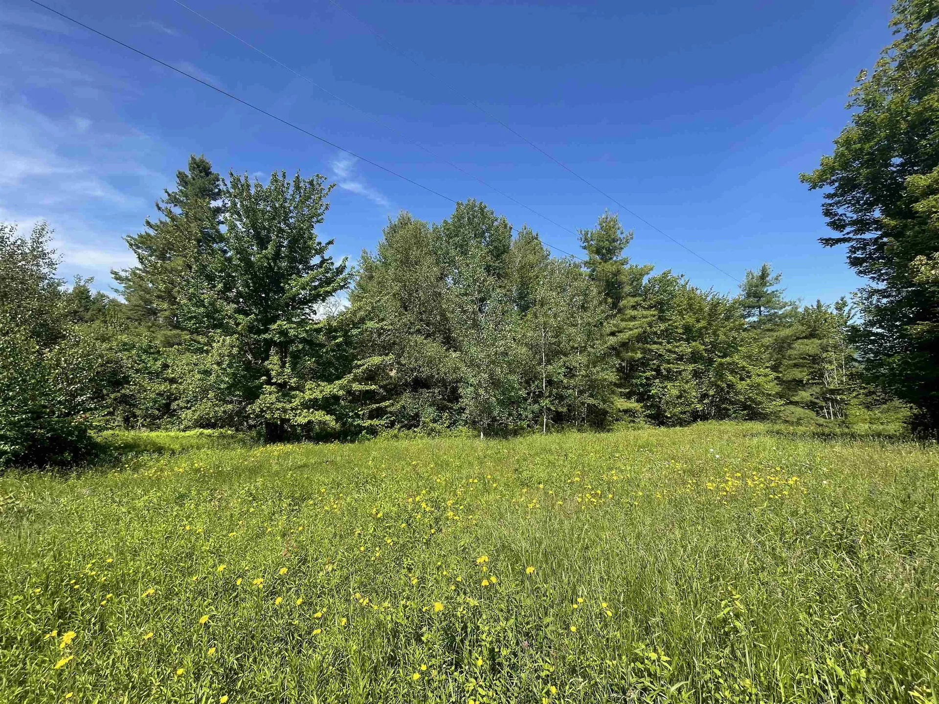 397 Stowe Hill Road Wilmington VT 05363