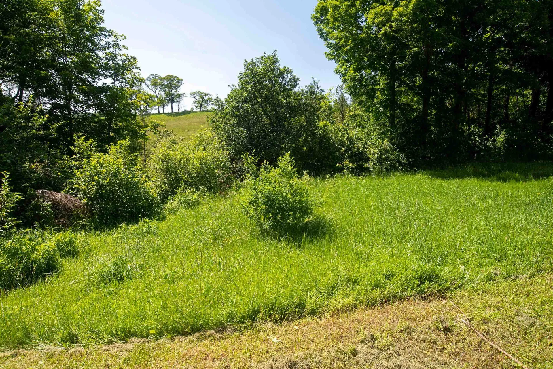 4159 Vt Route 215 N Cabot VT 05647