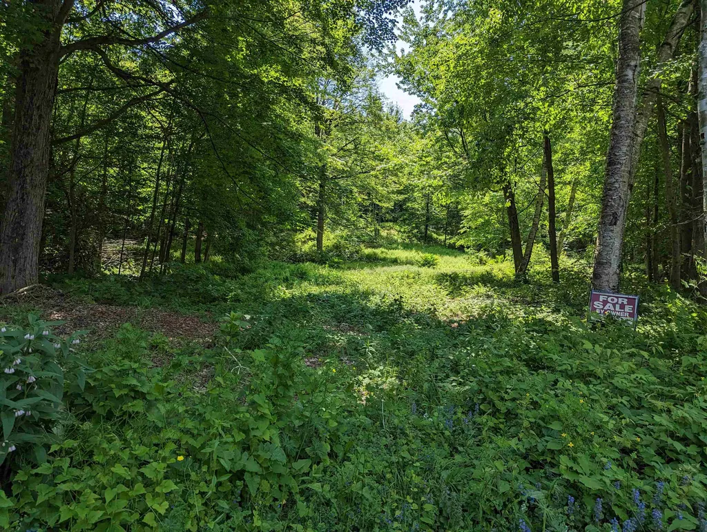 5.5 Edwin Avenue Claremont NH 03743