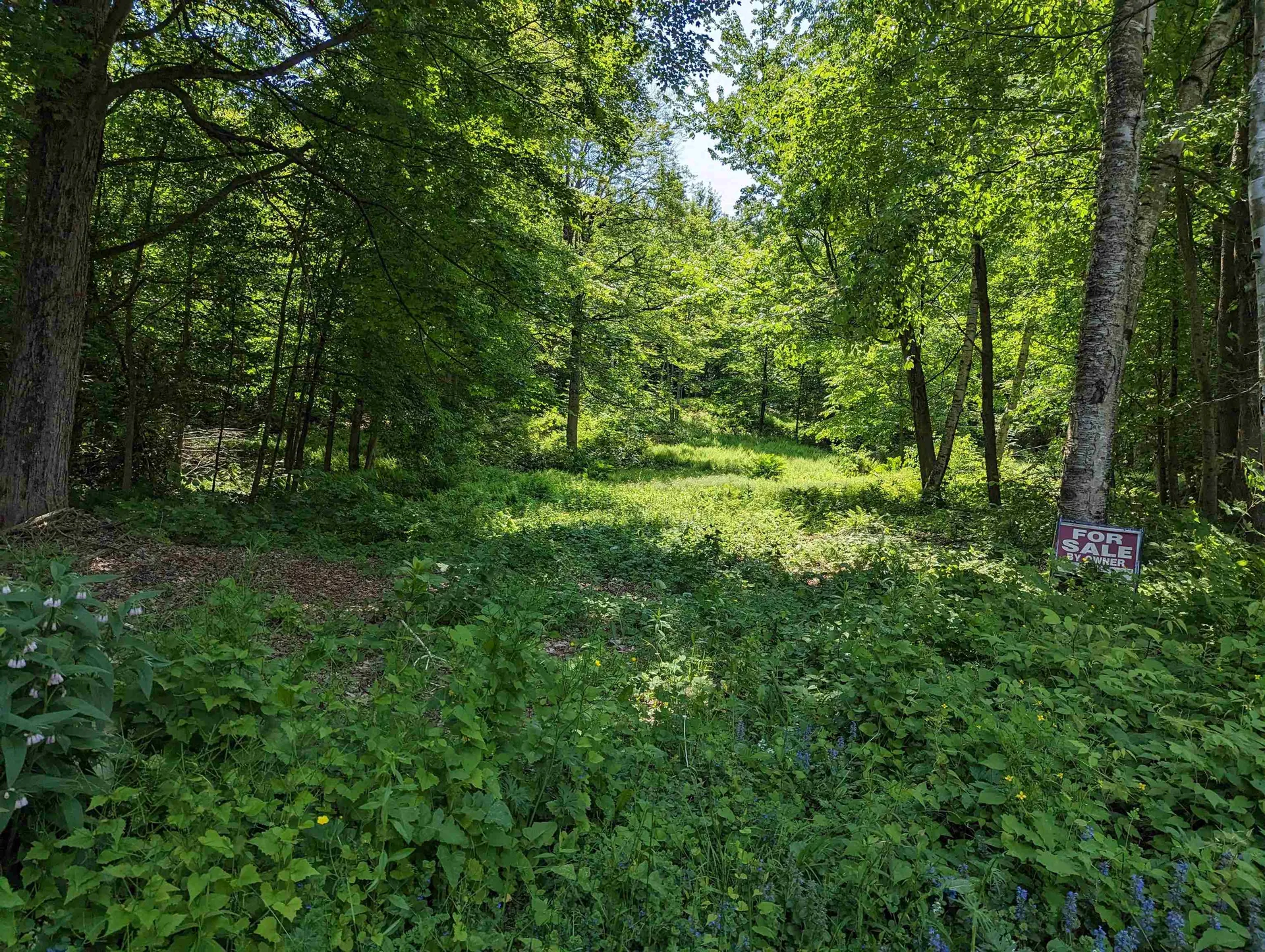 5.5 Edwin Avenue Claremont NH 03743