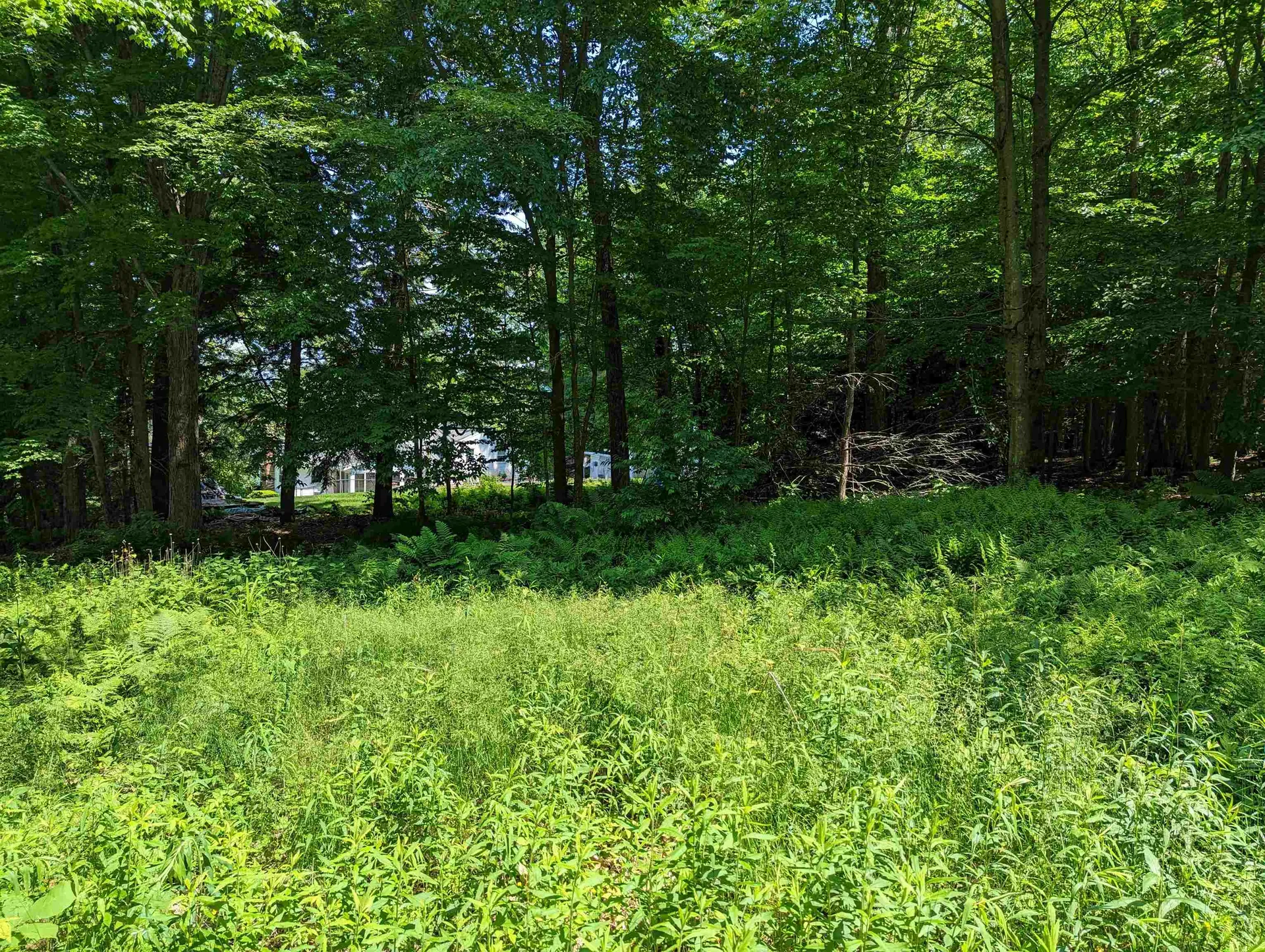 5.5 Edwin Avenue Claremont NH 03743