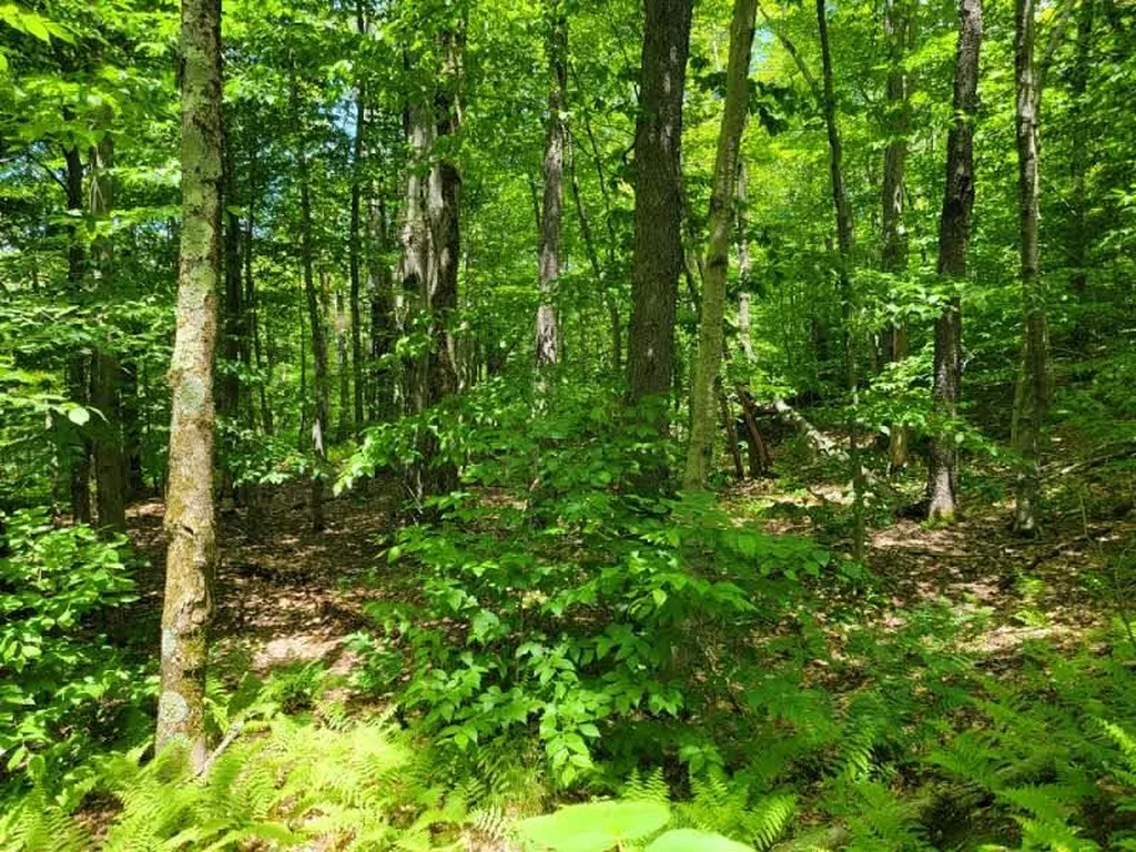 0 Cider Mountain Road Warren VT 05674