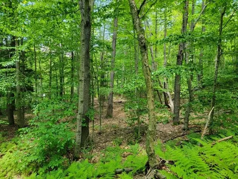 0 Cider Mountain Road Warren VT 05674