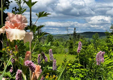 1280 Allard Hill Road Wheelock VT 05851