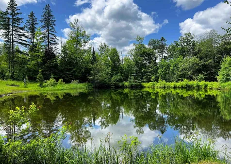 1280 Allard Hill Road Wheelock VT 05851