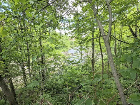 852 Portland Street St. Johnsbury VT 05819