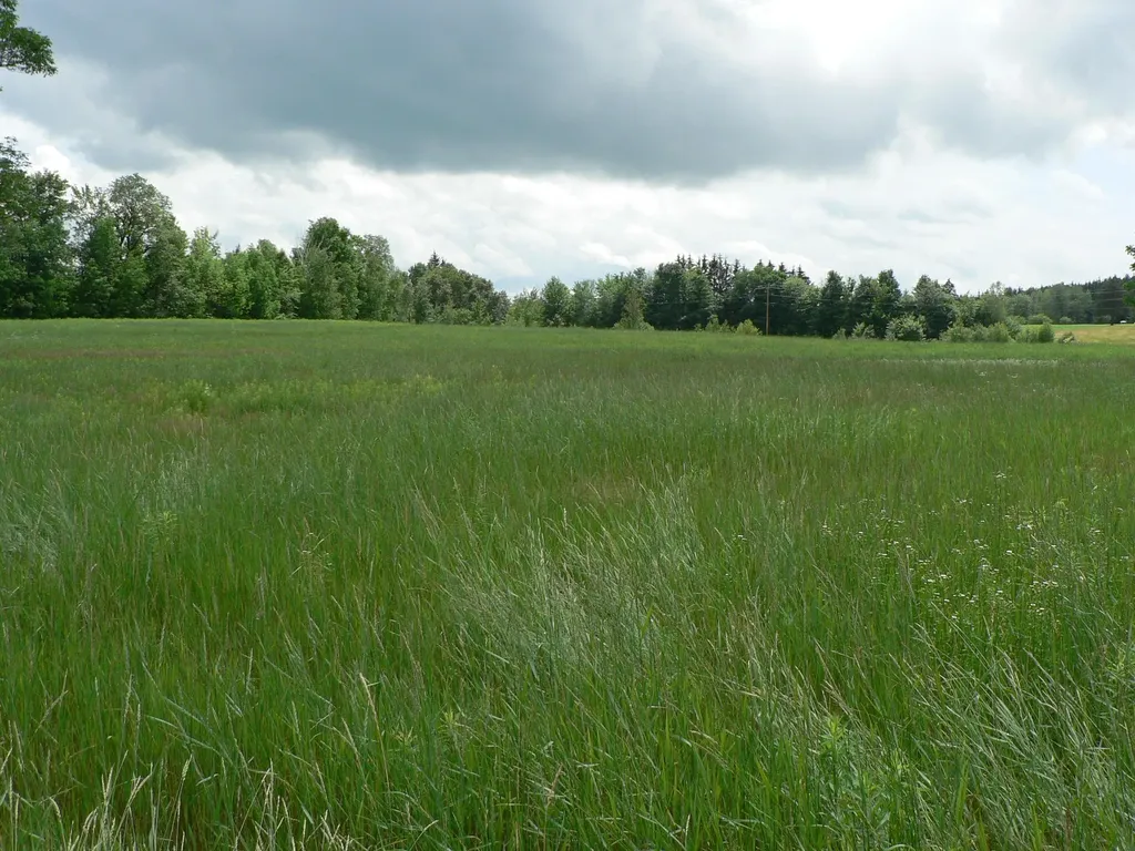 - Pine Hill Road Derby VT 05829