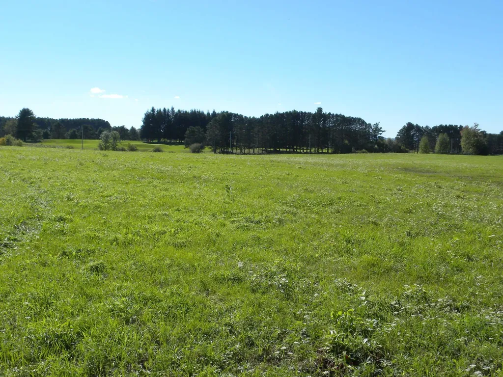 - Pine Hill Road Derby VT 05829