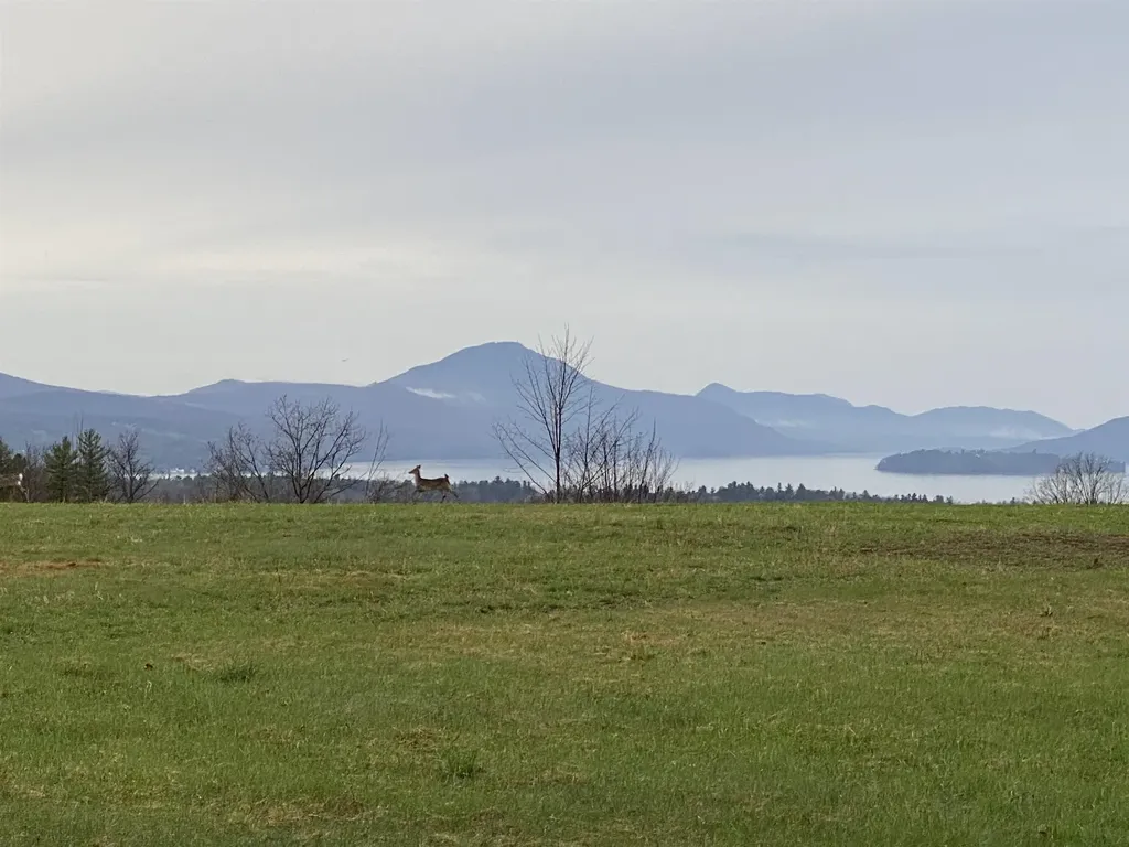 - Pine Hill Road Derby VT 05829