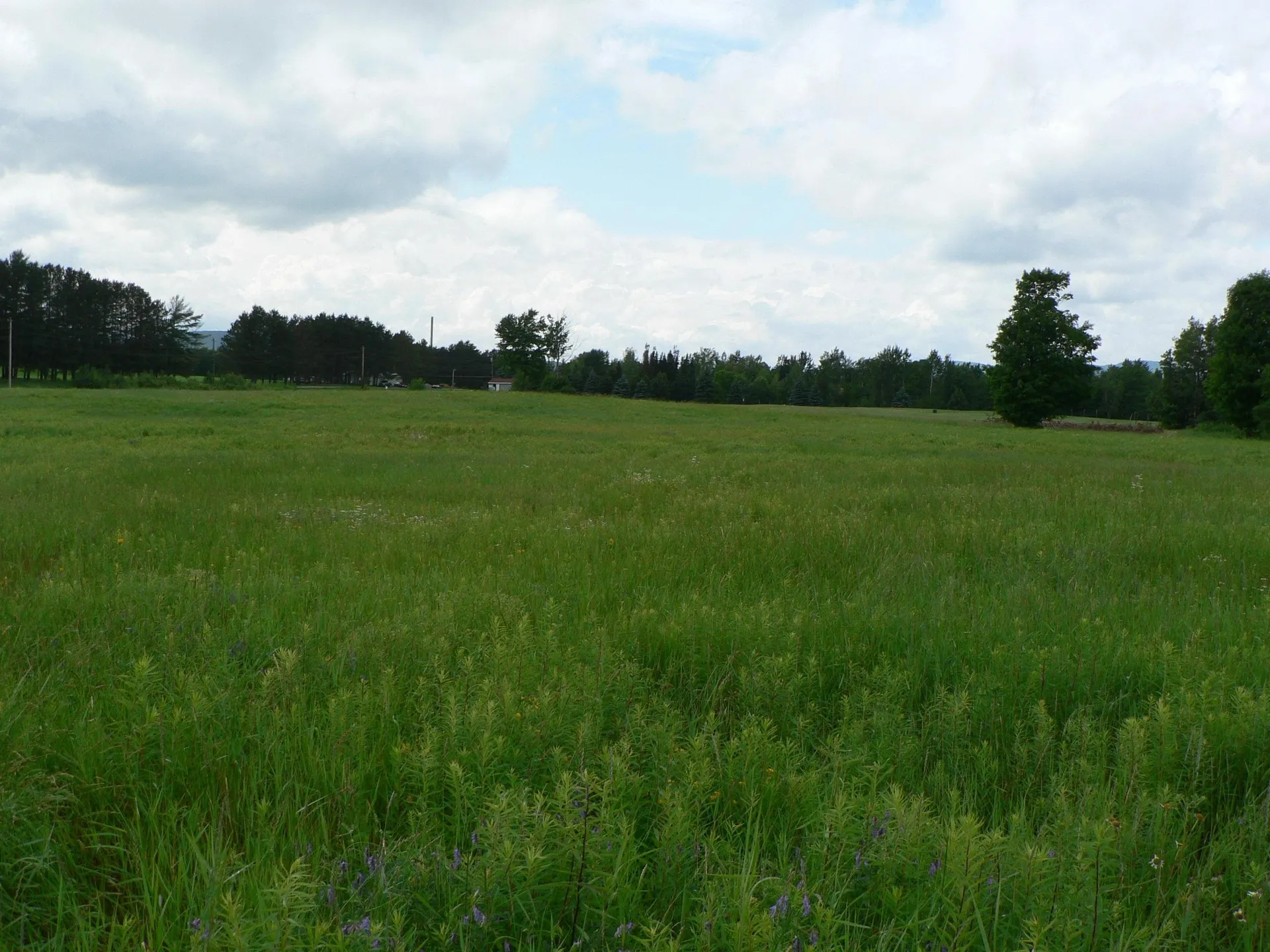 - Pine Hill Road Derby VT 05829
