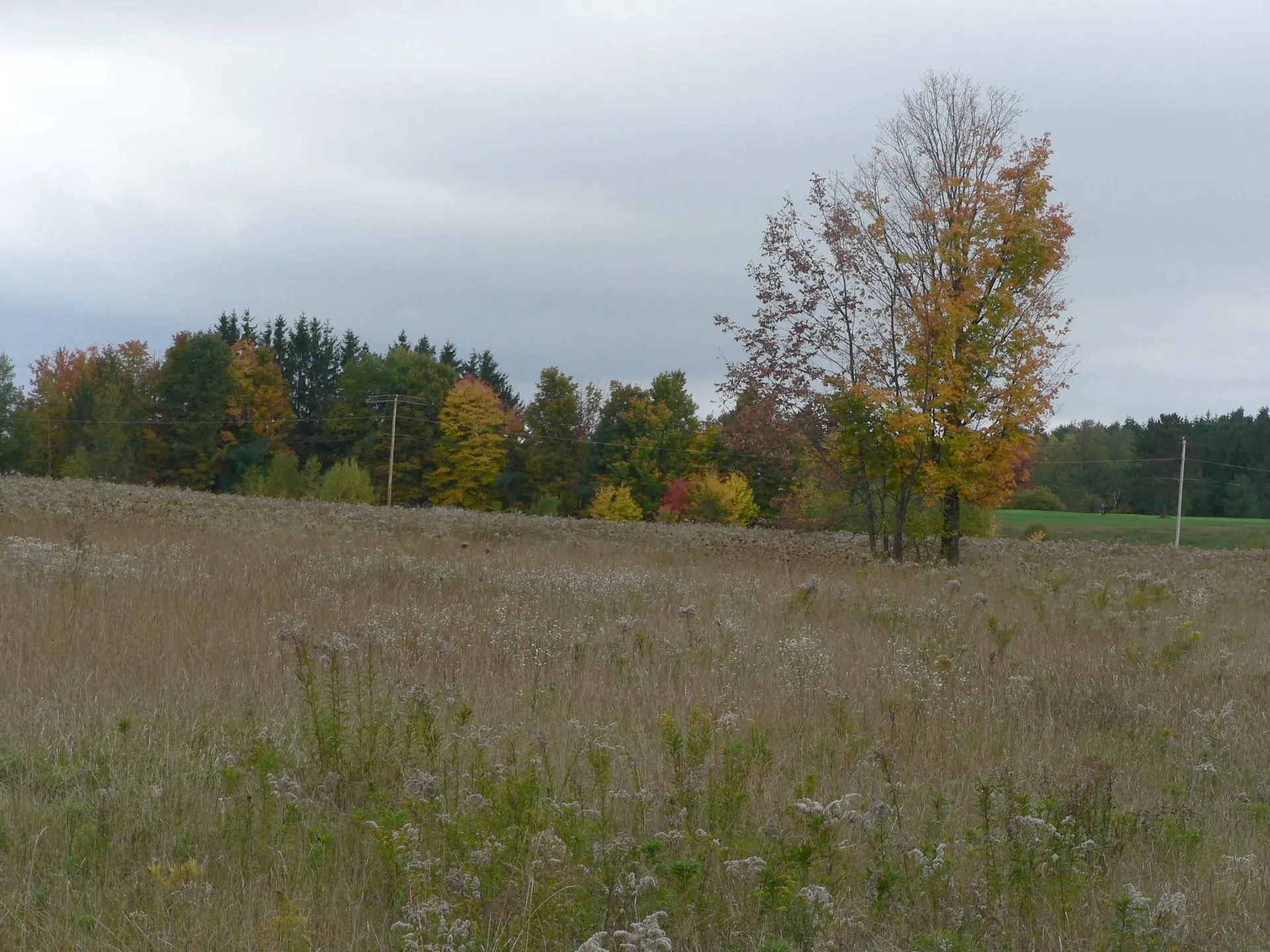 - Pine Hill Road Derby VT 05829
