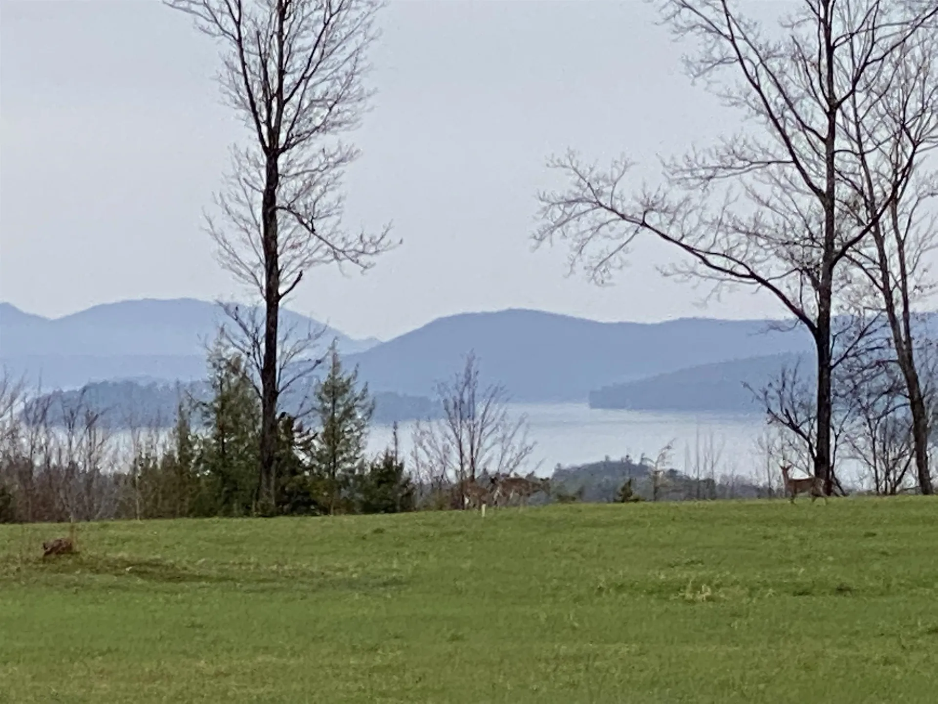 - Pine Hill Road Derby VT 05829