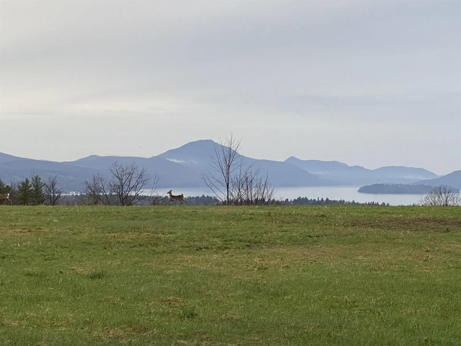 - Pine Hill Road Derby VT 05829