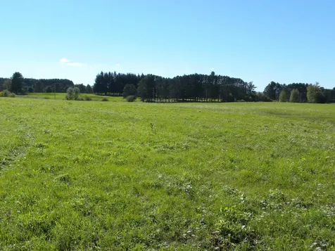 - Pine Hill Road Derby VT 05829