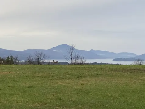 - Pine Hill Road Derby VT 05829