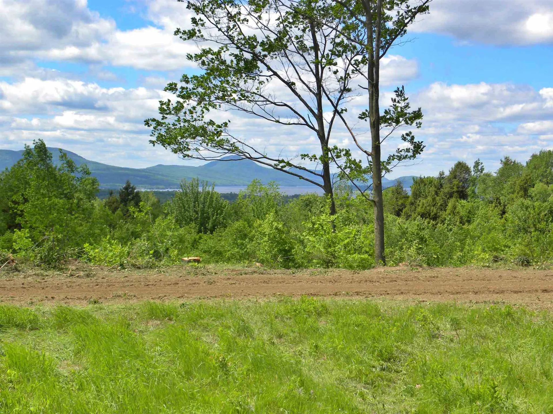 - Mount Vernon Street Newport City VT 05855