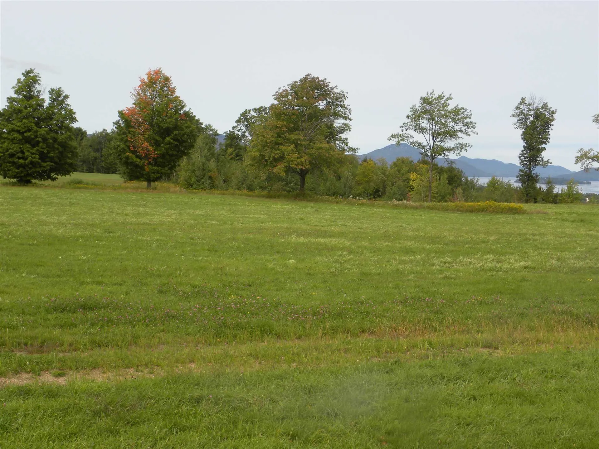 - Mount Vernon Street Newport City VT 05855