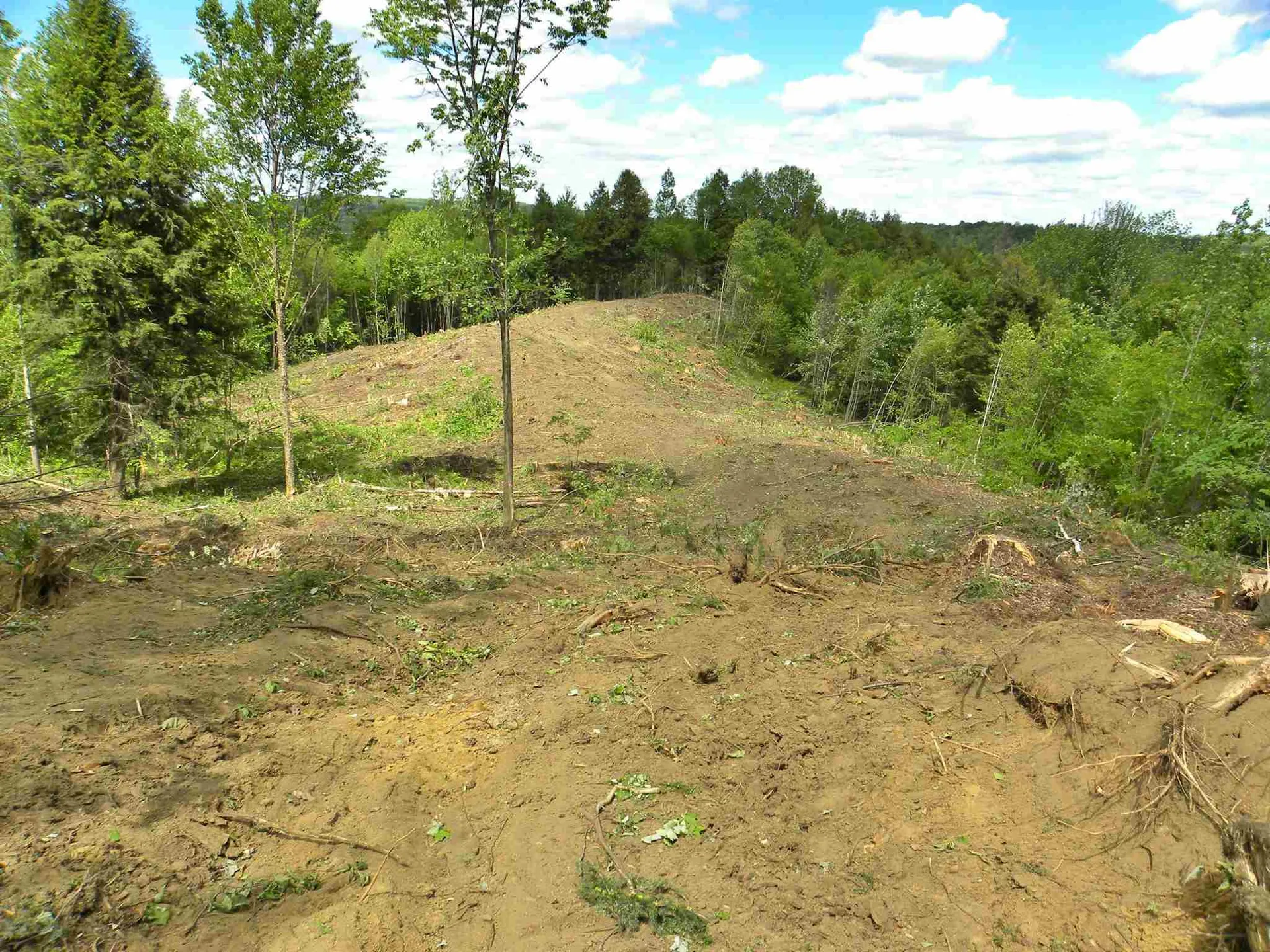 - Mount Vernon Street Newport City VT 05855