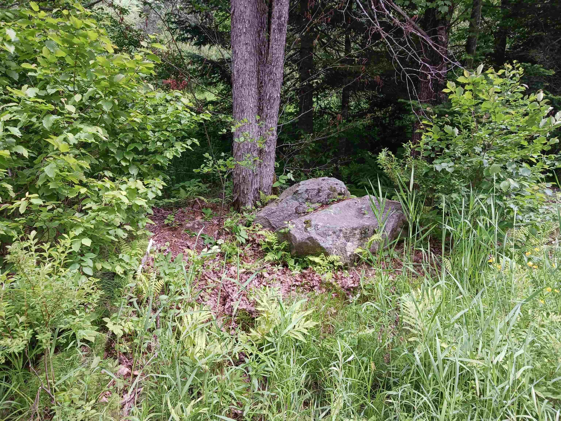 714 Jerusalem Road Canaan NH 03741