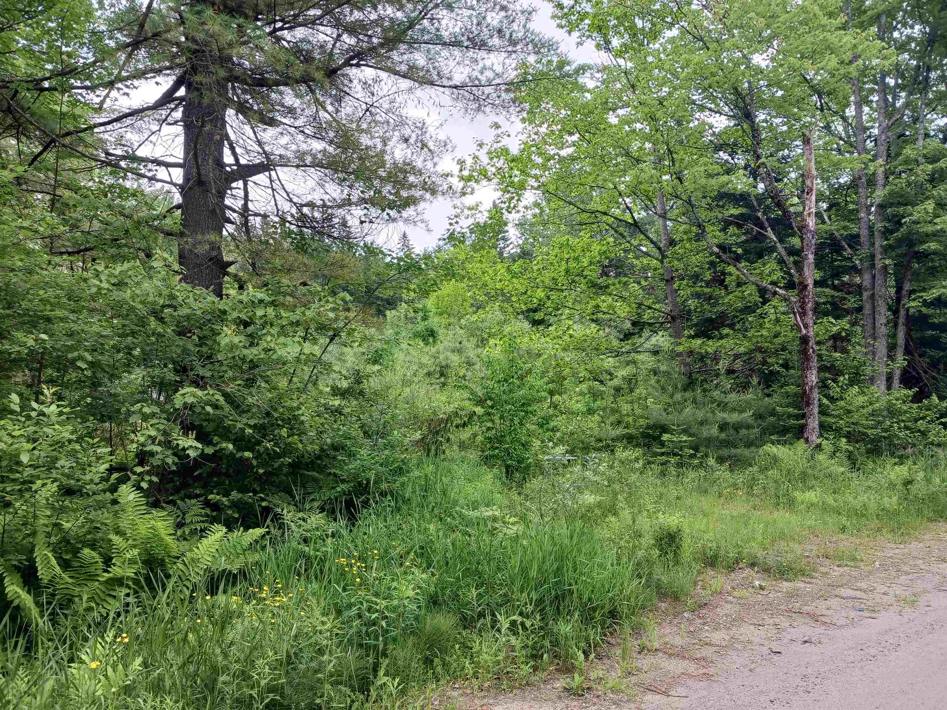 714 Jerusalem Road Canaan NH 03741