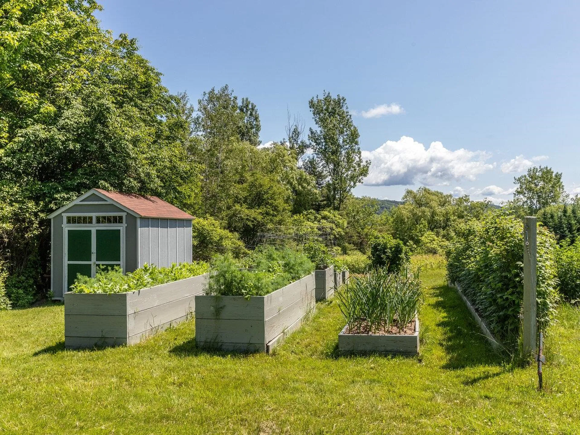460 Mount Pritchard Lane St. George VT 05495