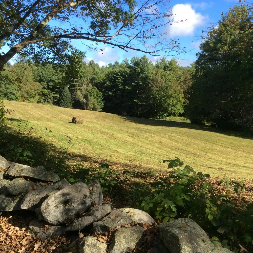 72 North Hinsdale Road Chesterfield NH 03443
