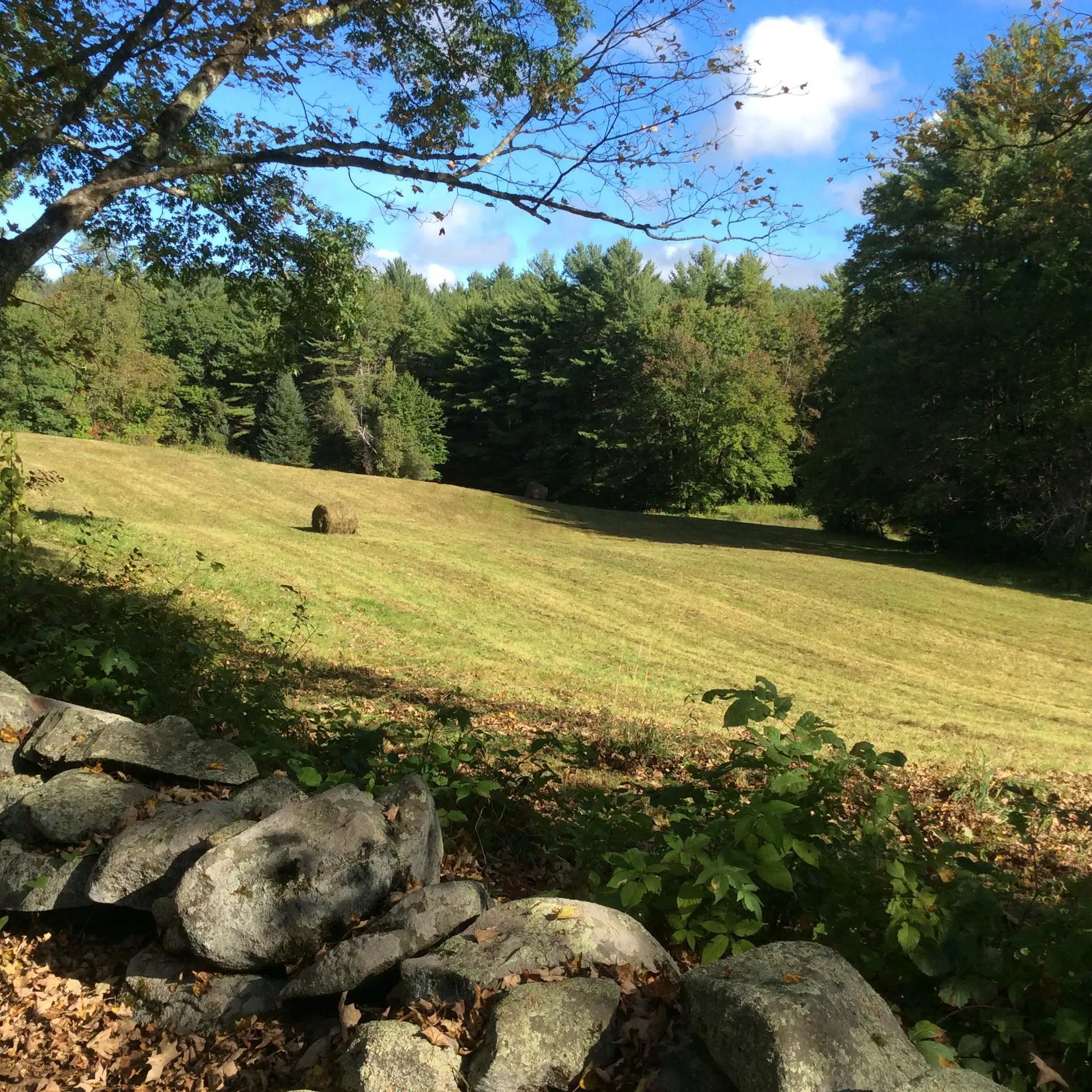 72 North Hinsdale Road Chesterfield NH 03443