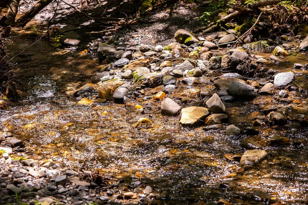 131 Whitney Hill Road Tunbridge VT 05077