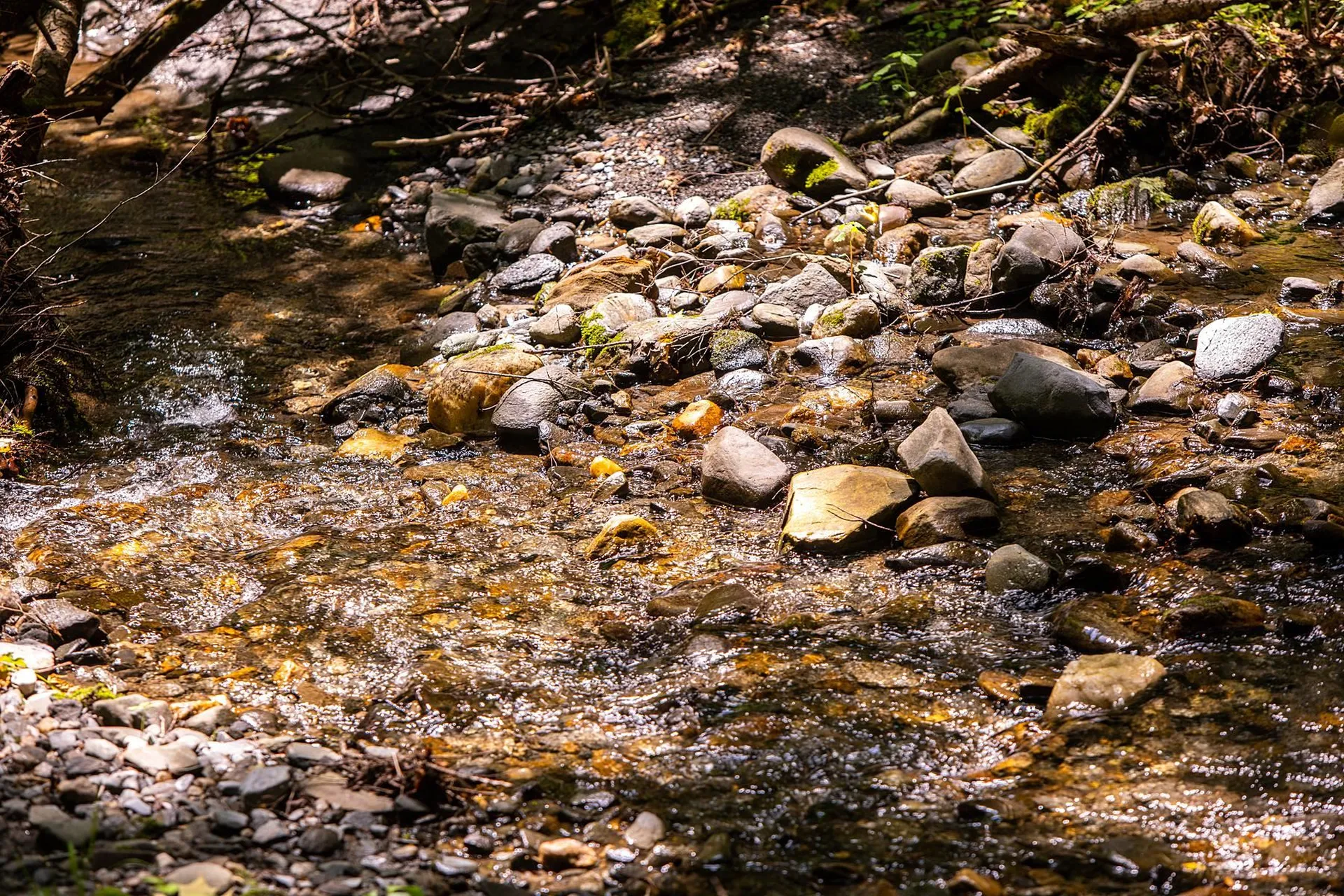 131 Whitney Hill Road Tunbridge VT 05077