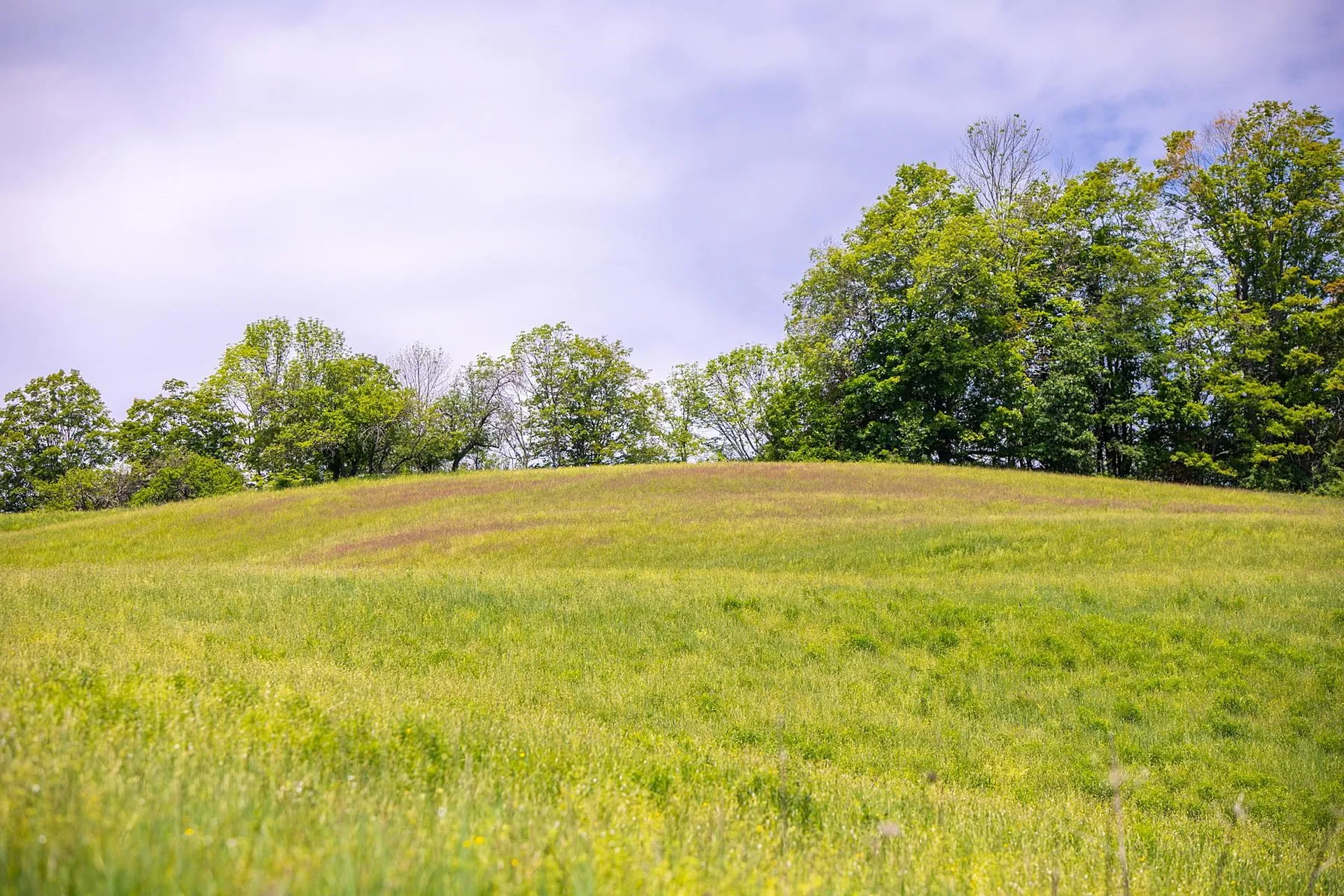 131 Whitney Hill Road Tunbridge VT 05077