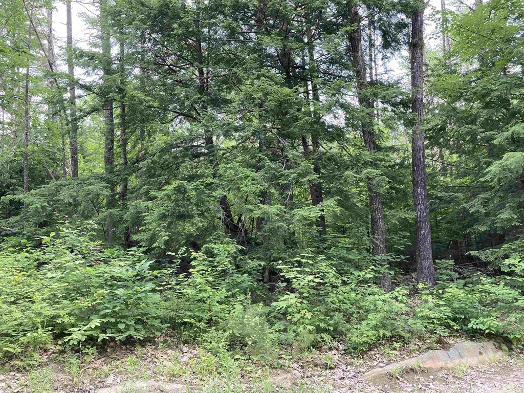 00 Codfish Hill Road Canaan NH 03741